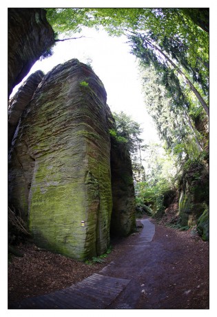 Prachovské skály10